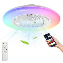 Randaco Ventilador De Techo Led Con Iluminación Y Control Remoto - Ventilador Regulable 49cm