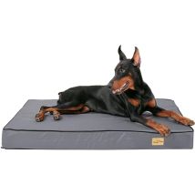 Bingopaw Cama Perro Grande Desenfundable Desenfundable Lavable Colchoneta De Espuma Ortopedica, Xxl 120x75x10cm