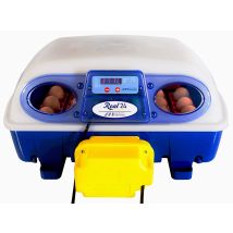 Borotto - Incubatrice Per Uova Automatica Professionale Real 24