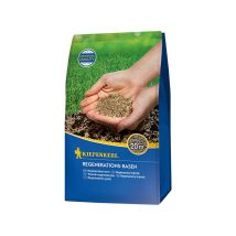 Césped de regeneración 500 – Mezcla especial – Alta capacidad de regeneración – Germinación rápida – Muy resistente y robusto