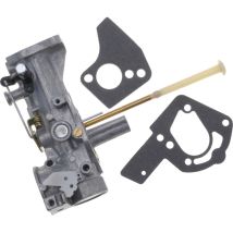 Jardiaffaires – Briggs & Stratton 498298 Adaptervergaser – Ersatz Für 5/6 Ps Horizontale Kurbelwelle – Inklusive Dichtung Für Einfache Montage