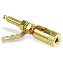 Borne De Connexion Dynavox X-3003, Rouge