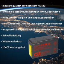 Csb - Hochstrom Bleiakku Hr1224wf2f1 12v 24w- 6ah 12v 6ah Lead-acid Schwarz