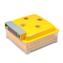 Mucola Incubatrice per 48 Uova – Controllo Temperatura e Umidità – Sistema di Rotazione Automatica – Colore Giallo/Trasparente