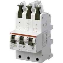 Abb S751/3-e63 Disjoncteur Automatique 63a Robuste