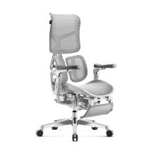 Brave V-kinetic Bürostuhl Ergonomisch Schreibtischstuhl Chefsessel Mit Fußstütze 5d Armlehnen Netzstoff Lendenwirbelstütze Verstellbarer Sitz 