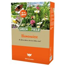 Greenfield - Blumenwiese 1 Kg Blumen Wiesensamen Grassamen Blumensamen Bienen