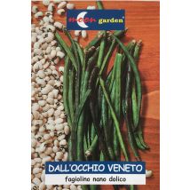 Fagiolino dall'occhio veneto – SemOccVen250 – Grano bianco crema con occhio nero, baccello lungo verde scuro – 250g