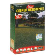 Eurogarden - Fplus Semillas Fito Cesped Resistente 1kg 04455 , Semillas Fito Cesped Resistente 1kg 04455