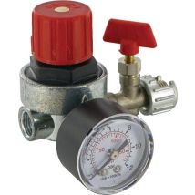 Reductor De Presi贸n 1/8" Fini 319013000