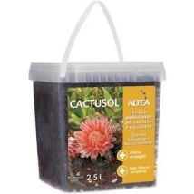 Terreau Professionnel Altea Cactusol Pour Cactus