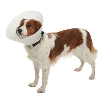 Kruuse Collar Isabelino Opaco Buster Classic, 25 Cm Perros 25 A 30 Kg, 10 Uds