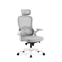 Chaise De Bureau Ergonomique Gris Clair Diablo V-light