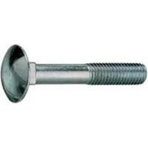 Index – Tornillo DIN-603/934 – Cabeza redonda, cuello cuadrado, tuerca hexagonal, 100 unidades