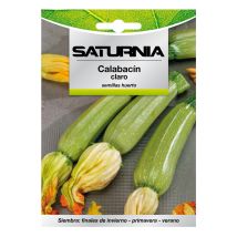 SATURNIA Zucchini-Samen (Cucurbita pepo) – 5g – Dunkelgrün, glänzend – Ideal für sonnige Lagen – Direkte Aussaat im Freiland