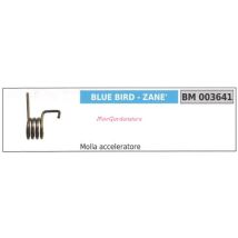 Muelle acelerador para desbrozadora – Accesorio de desbrozadora – Bluebird