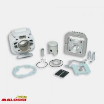 Haut Moteur Malossi Pour Scooter Yamaha 50 Slider Ng Neuf