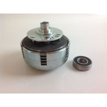 Lamellenkupplung 10ps Motorhacke Bl105 Motormäher Benassi Spa 15521