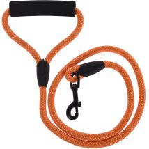 Laisse Pour Chien, 120 Cm, Vert