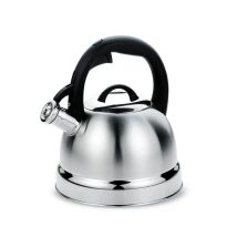 Bouilloire Non Électrique 2,9 L Mr-1329 Maestro