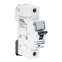 Hgd - Interrupteur De Surintensité 1p, 6ka, 32a, Char. B (24054) - Hyundai