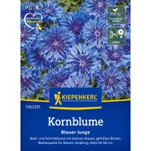 Kiepenkerl Blumensamen Kornblume Blauer Junge Für Ca. 80 Pflanzen