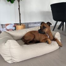 Letto per cane SMALL – Tappeti, cuscini e materassi per cani – 8713229054410 – Madison