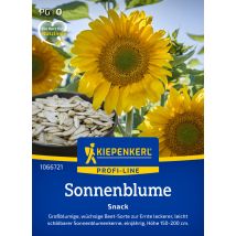 Kiepenkerl Profi-line Blumensamen Sonnenblumen Snack Für Ca. 20 Pflanzen