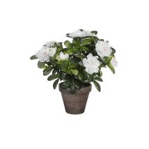 Azalée Artificielle Blanche En Gris Tiesto Ø11,5cmx27xø20cm