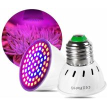 Qcwwy Lampe De Croissance De Plantes, Lampe De Croissance De Plantes E27 Lampe De Croissance De Plantes À Effet De Serre Lumière De Croissance Pour 
