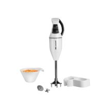 Esge - Zauberstab E 120 Select Weiß 120 Watt, Spiralkabel, 2 Schaltstufen Mixer & Zerkleinerer