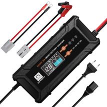 Eco-worthy - 20a Lifepo4 Batterieladegerät 12v/24v, Automatisches Intelligentes Batterie Ladegerät Und Wartung Für 12v/24v Lithium Lifepo4 Batterie