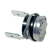 Termostato Seguridad 102o Ver 60070773