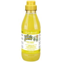 Iv San Bernard - Frucht Des Groomers Ingwer Und Holunder Shampoo 1 Liter Exclusives Angebot