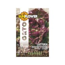 Semillas de lechuga Cuatro Estaciones – 8 g – Girasol – Germinabilidad 3 años