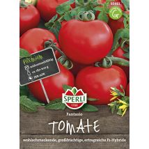 Tomaten Fantasio F1 - Gemüsesamen - Sperli