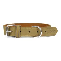 Collare Per Cani Gloria Oasis Verde (35 X 1,2 Cm)