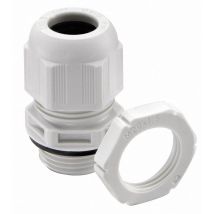 Wiska - 10066529 Pressacavo Filettato M40 Poliammide Grigio (ral 7035) 10 Pz.