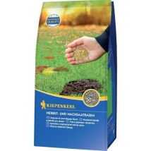 Semilla de césped para reseedamiento 1 kg – Mezcla efectiva para daños de verano – Aplicación de julio a noviembre