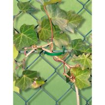 Hilo verde – 4043684454901 – Soporte plástico para fijación de plantas – Ideal para jardín e interiores