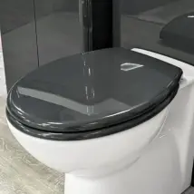 Roca Laura Toilet Seat Grey Gloss Modern Style Round Bathroom Wc Seat