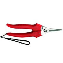 Forbice Raccolta Lama Stretta- - Cm.19 - 31329 - 12 Blister Ausonia
