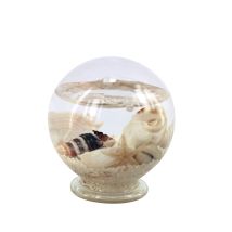Signes Grimalt Pisapapel Geschenk Kleine Marineball -mehrfarbige Pisapapeles 6x6x7cm 29316