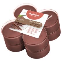 Velas Perfumadas Maxi Light De Bolsius (8 Unidades), Aromas Auténticos, Madera De Agar
