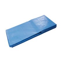 Dimos - Foglio Di Polietilene - 220 G/m2 - 12 X 10 M - 408620