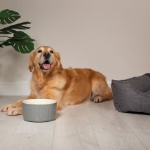 Scruffs – Classic Water Bowl 20cm – Chip and Bite Resistant Stoneware – Ideal for Feeding and Watering Pets