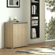 Meuble Polyvalent À 2 Portes, Poignée À Rainure, 3 Tablettes Réglables En Orme