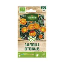 Garden Bio Seeds Of Calendula Bio Su 3 Gr - Vilmorin