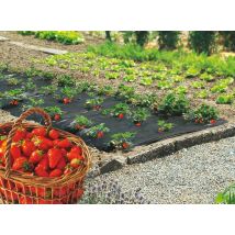Speciale Film Per Pacciamatura Fragole 'fresafilm' - 1,40 X 10 M Nortene