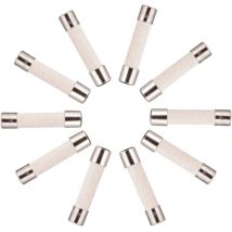Joorrt - 10x Fusible Temporisé (t) En Céramique 10a / 250vac 5x20mm